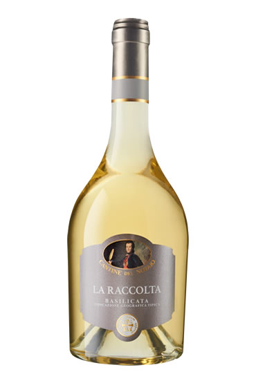 LA RACCOLTA 2014